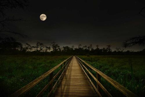 boardwalk under full moon