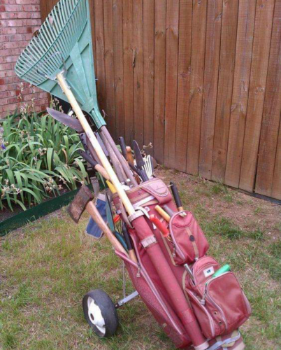 Screenshot_2024-04-14-14-22-51_kindlephoto-510557362