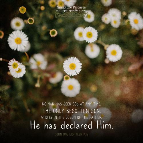FAITH - John 1.18 KJV