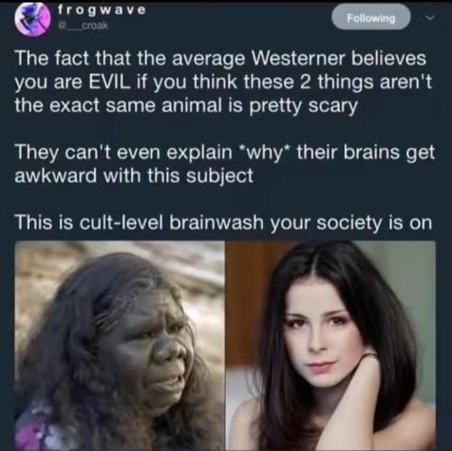 20240405_220257