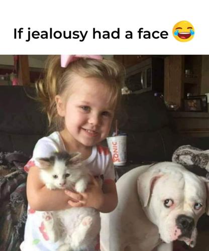 FB_IMG_1712683635368