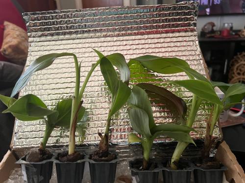 3268FC80-0D3F-4529-A543-9776352B84B7