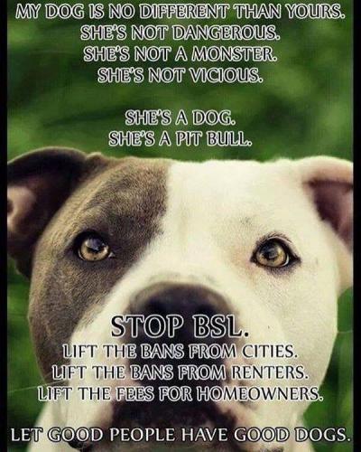 322d4086aa3291965f5f6e833ffe3965