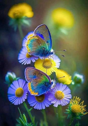 img-7858aa02