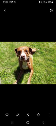 Screenshot_20230917-235452_Gallery