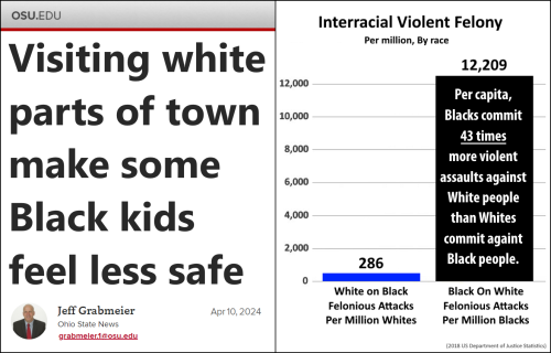 blacks are a crime wave