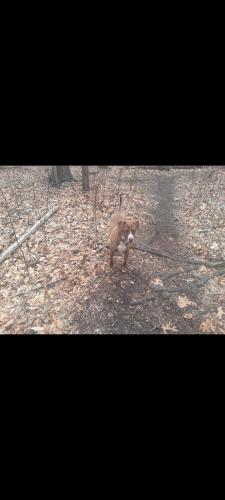 Screenshot_20230613-172015_Gallery