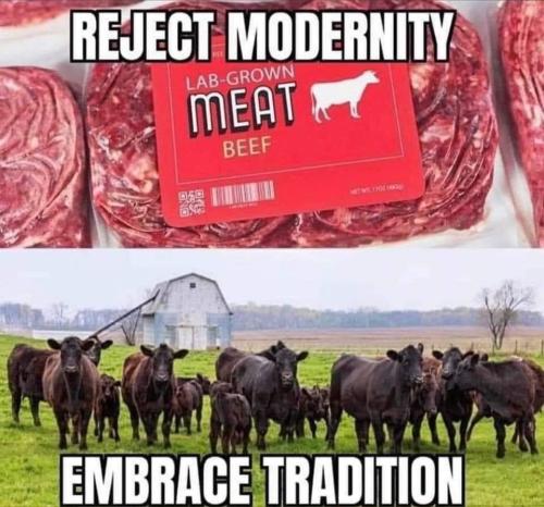 reject modernity