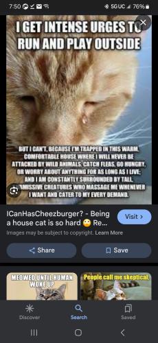 Screenshot_20240418_075042_Google