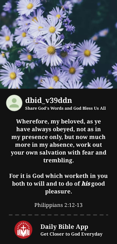 2024-04-021712116907533