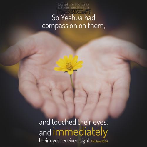 FAITH - Matthew 20.34 KJV