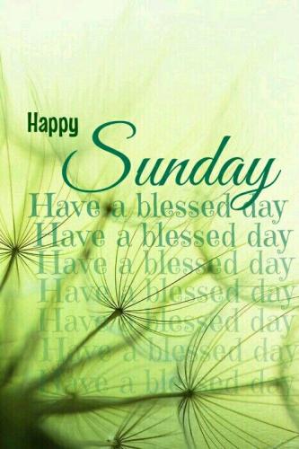 Happy Sunday 1