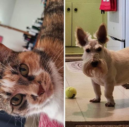 10:42:20 GMT-0500 (CDT)