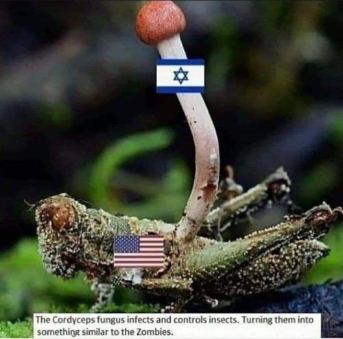 IMG_20240416_232440_338