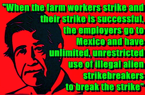 CESAR CHAVEZ