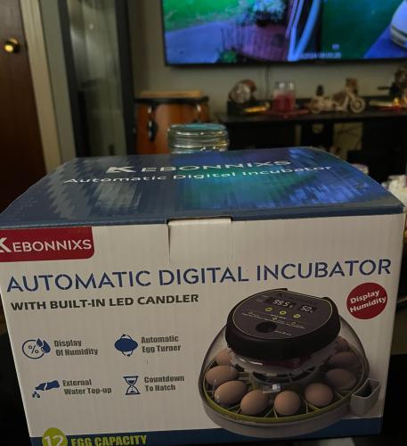 1D70E39B-174F-4E33-B934-99D812E91AB0