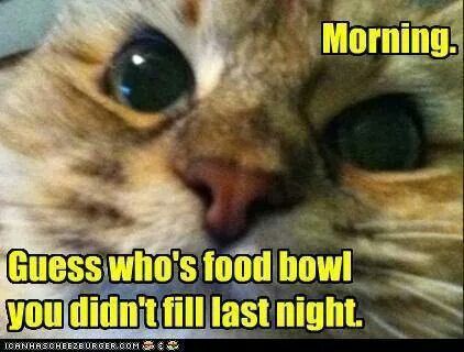 b40c9f54f94da2f7f1a151c07edc59d5