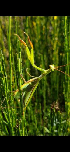 Screenshot_20240403_041601_Photos