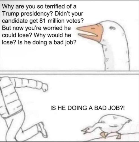 IMG_20240403_121933_429