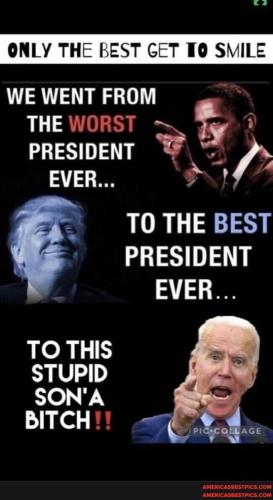 4d516d262506561582f3c7f9df32b00dea82c7565c3b8800ba33ff0e0ab970e4_1