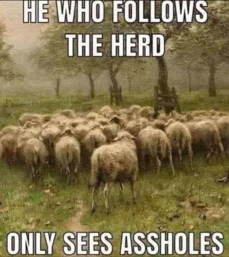 IMG_20240409_121122_182