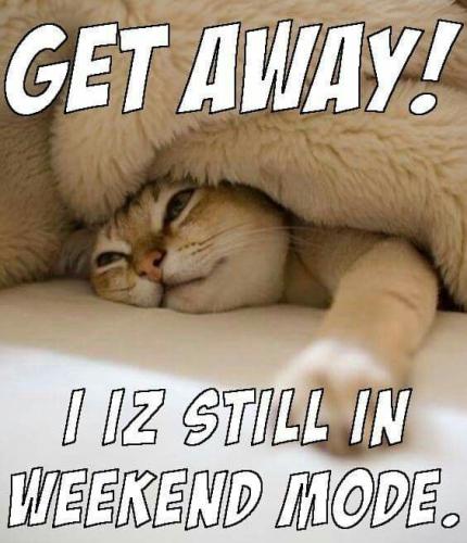 904e729a7ff34a1b839677b843101214