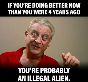 illegal immigration387