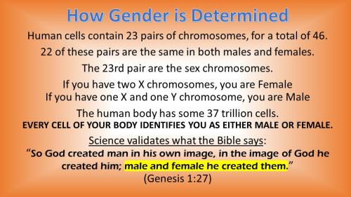 transgenderism