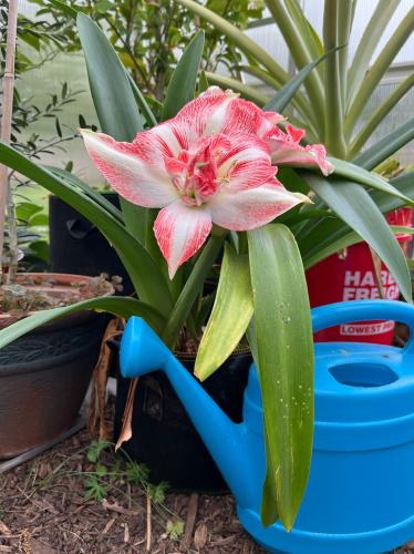 94620E00-8D1B-4787-A3F4-1A67738FA5CA