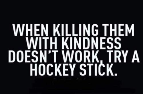 try a  hockey stick