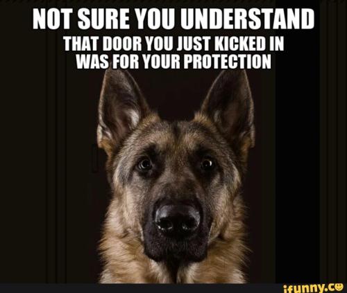 67041e2761350da84d8124b6406220b3ea1a2db9fae473cd9369600e5392098a_1