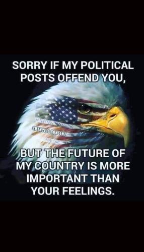 FB_IMG_1712533332935