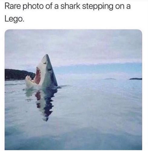 6C6F5C52-58B3-4451-96C2-D8557C555776