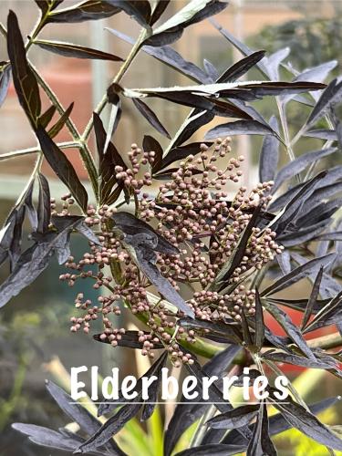 50BB7788-F787-4657-88A4-0C6B257C8F54