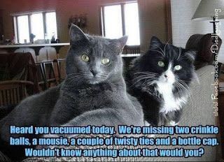 285aa562a0bc808099f8dbe66492f133