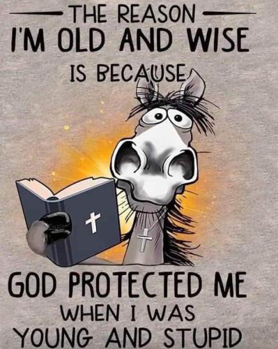 e4980f1a-aedc-4254-ab75-88cdb4573415