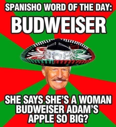 FB_IMG_1681017677398