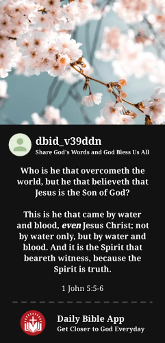 2024-04-071712533841835