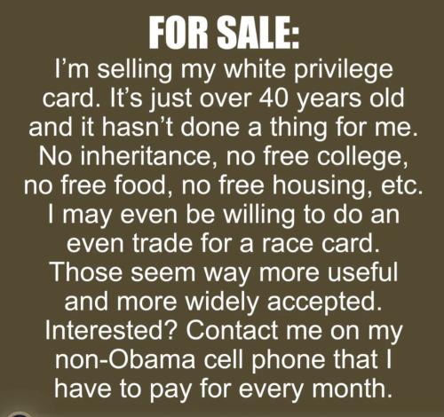 Screenshot_20240409-202845_Brave