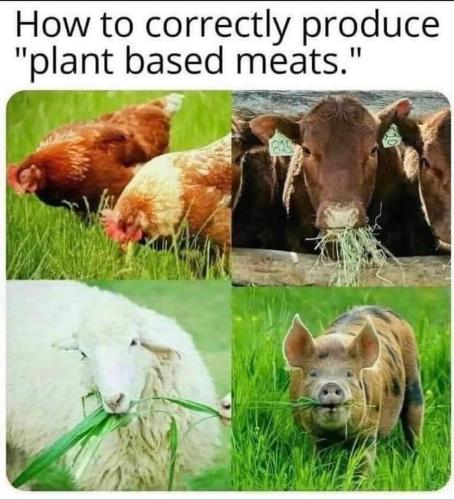 FB_IMG_1713801518527