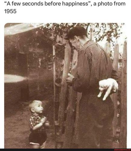 32da13049a5c024b2036ba0cfdee3fba109c442ad2af5018fd34b985804de4e4_1