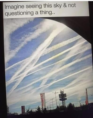 Screenshot_20240423_175524_Facebook