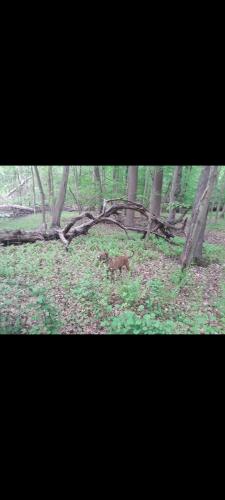 Screenshot_20230915-081455_Gallery