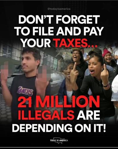 Illegals 1