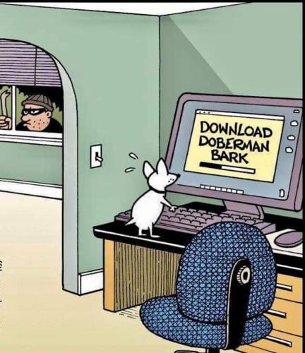 FB_IMG_1713627090029
