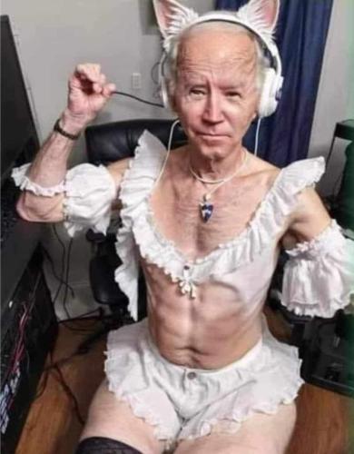 baby biden