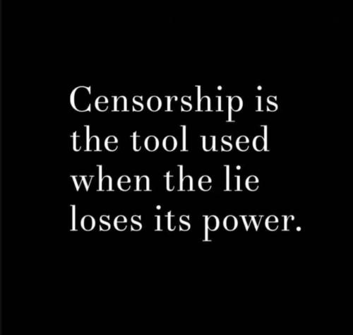 Screenshot_20240425_131919_Instagram