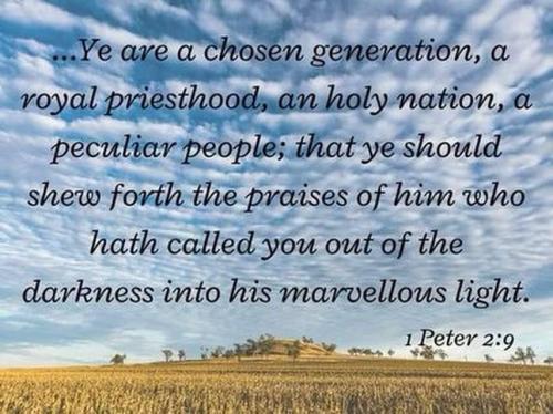 1da4962e-389b-4fd6-a984-fb6bb0cb65af