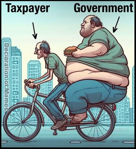 government
