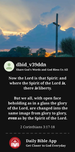 2024-04-051712359724975